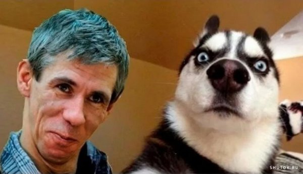 Алексей Панин мемы с собакой