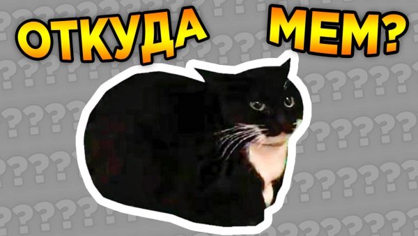 Максвелл кот Мем