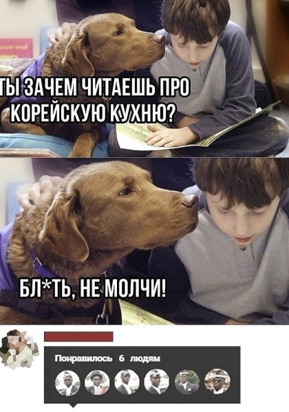 Мем про собаку и корейскую кухню