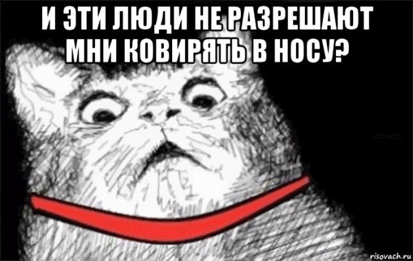 Кот морщится Мем