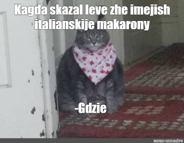 Мем с жирным котом в слюнявчике