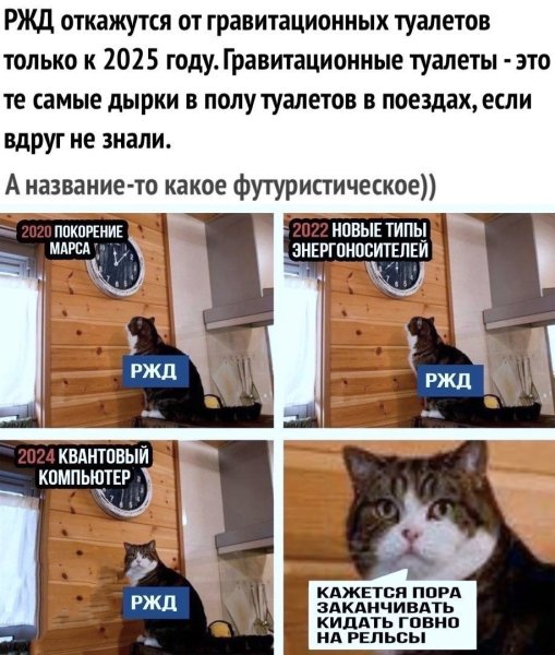 Мэм с котом и часами пора