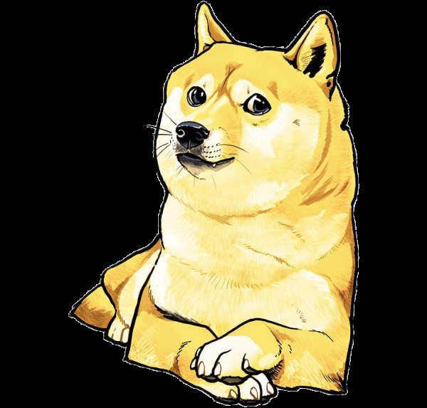 Догикоин Шиба ину