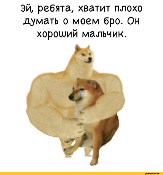 Сиба-ину Догги