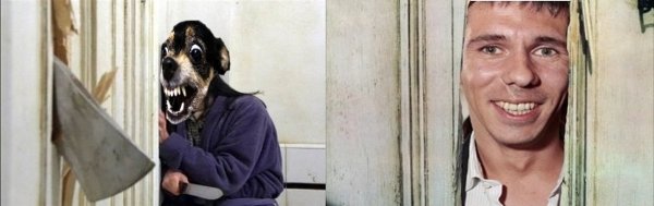 Алексей Панин с собакой