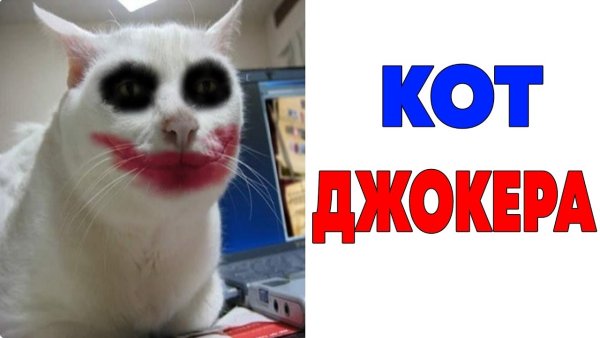 Кот Джокер Мем