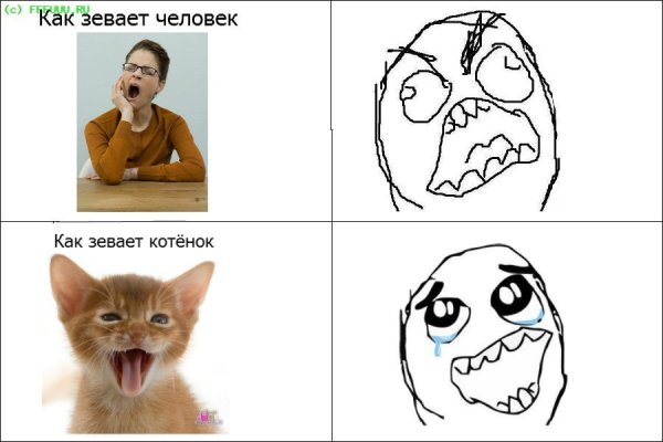 Мемы с котами без матов