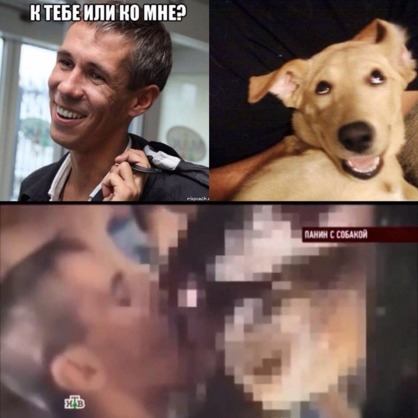 Панин и собака