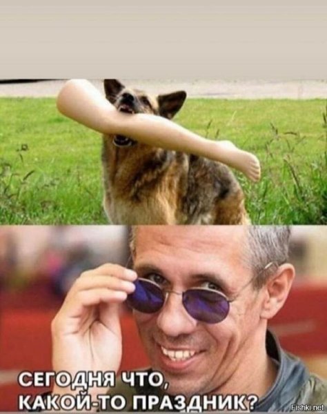 Алексей Панин Мем