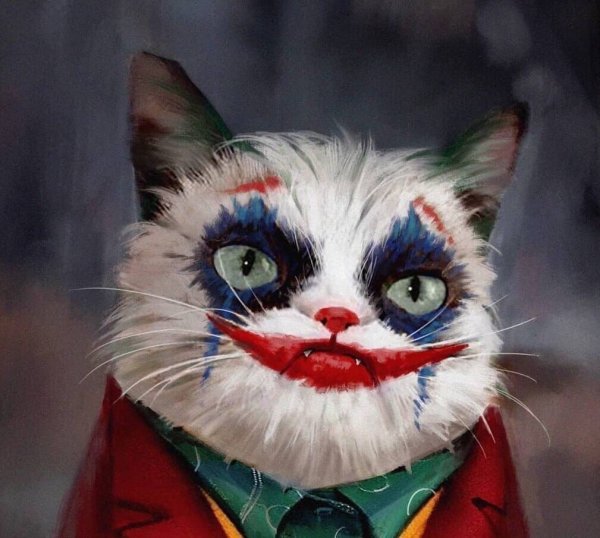 Кот Джокер Мем