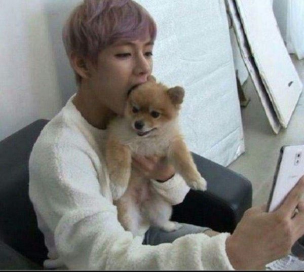 BTS Чимин и Ентан