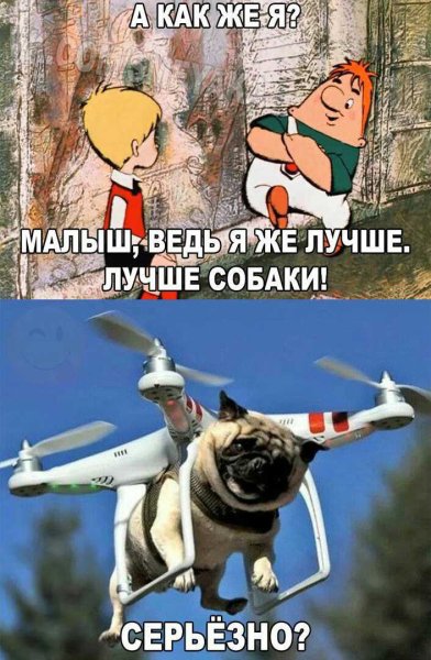 Лучше собаки