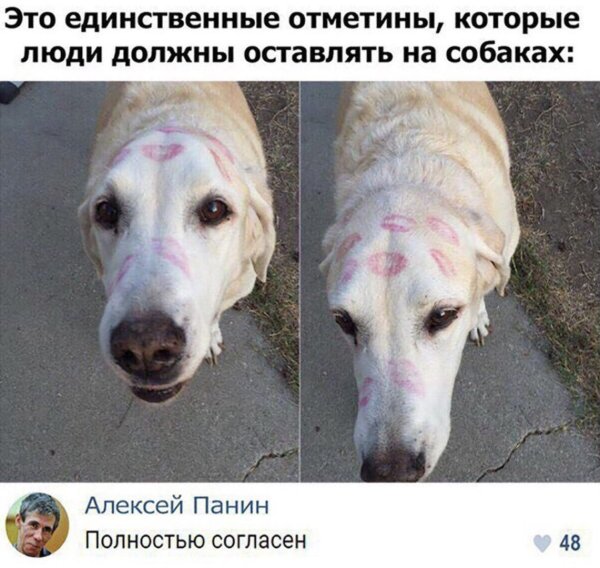 Единственные отметины которые