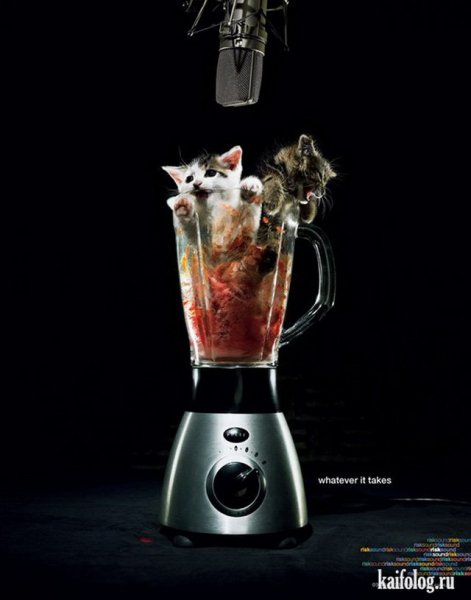 Прикольные в блендере