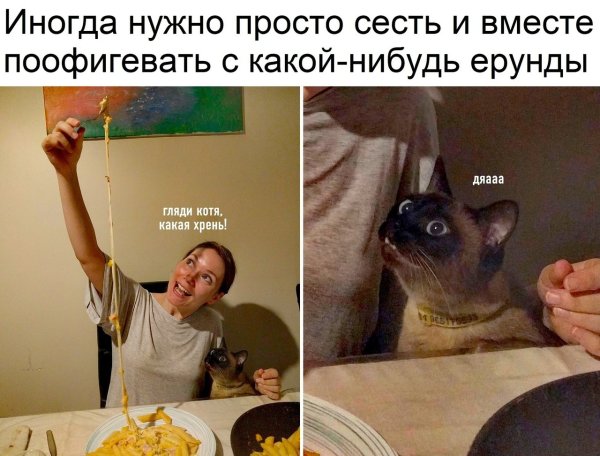 Мемы 2022 смешные