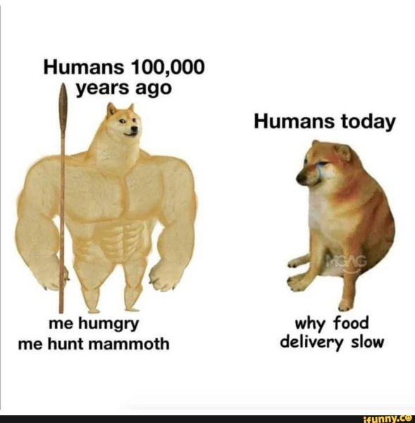 Доге и Чимс