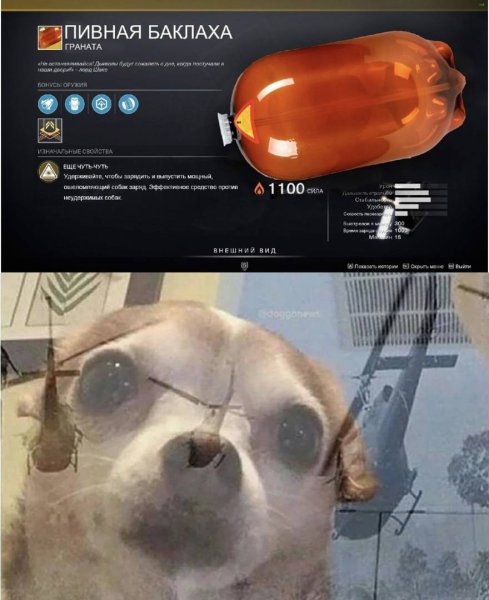 Собака с мема с кегой