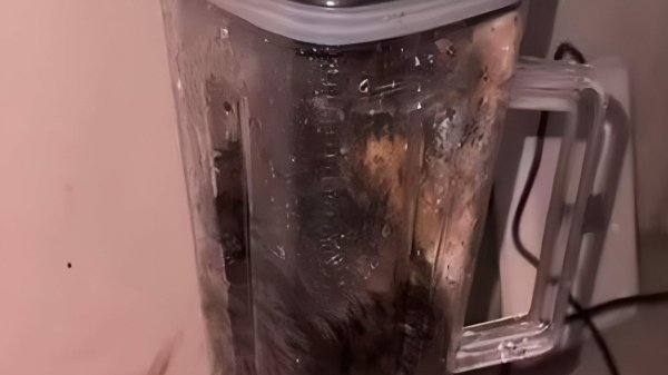 Кошачий блендер