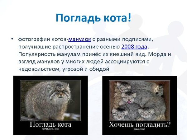 Погладь кота