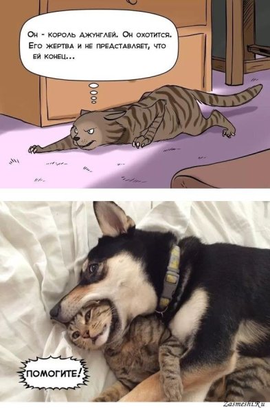 Смешные комиксы