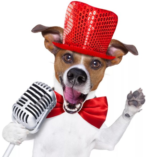 Пес с микрофоном