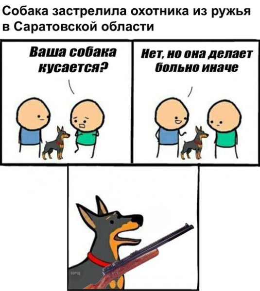 Собака делает больно по другому