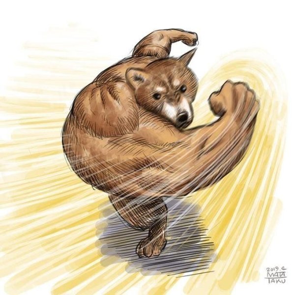 Собака с мускулами Мем