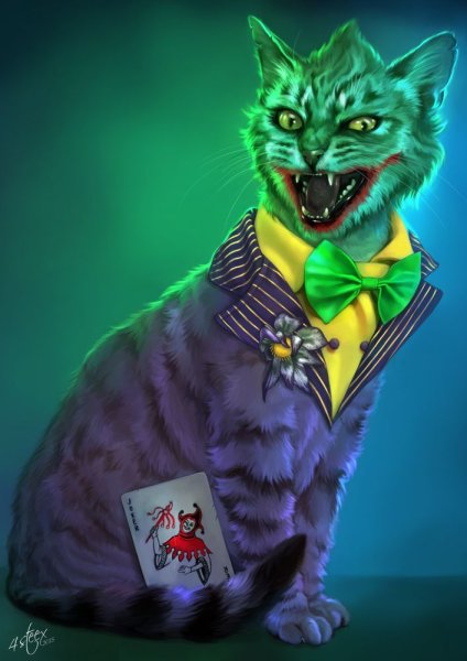 Котик Джокер