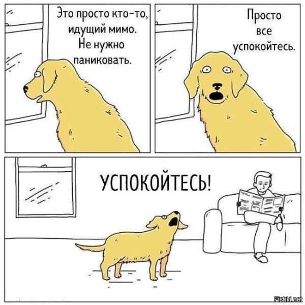 Мем с собойкой