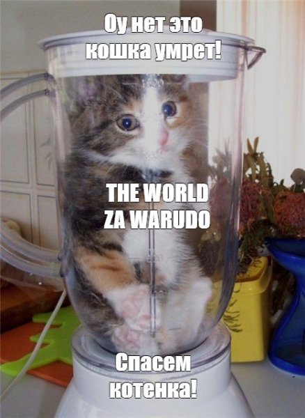 Кошачий блендер
