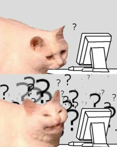 Мемы с котиками