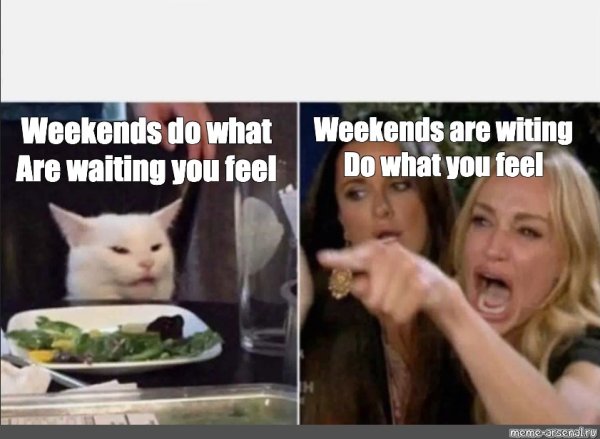 Кот в ресторане Мем