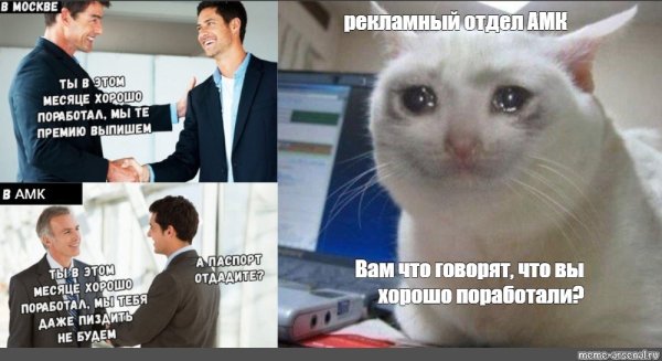 Мем кот пора шаблон