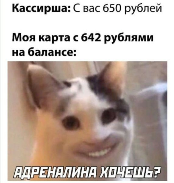 Кот улыбается Мем