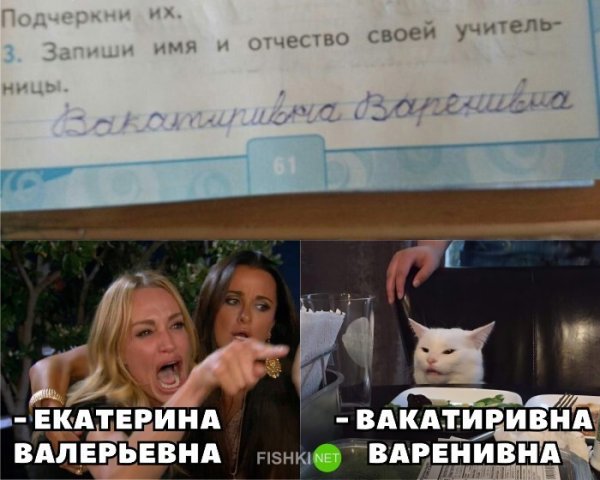 Мемы с двумя девушками и котом