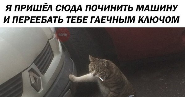 Мем про кота механика
