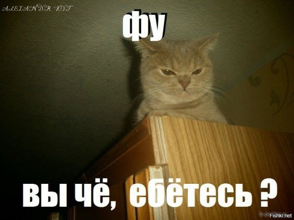 Картинку фу вы че ебетесь