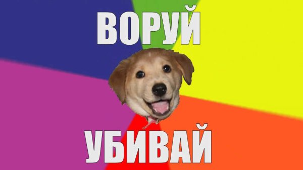Собака Советчица