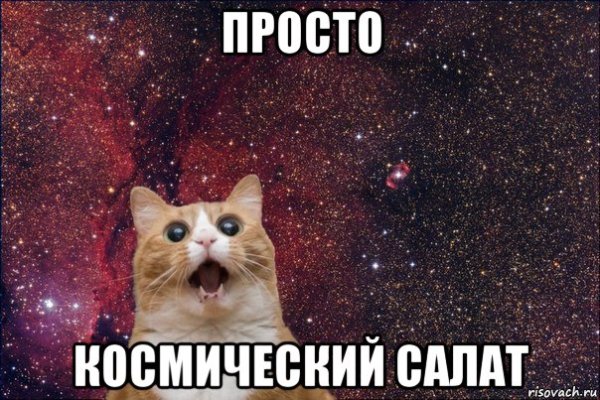 Мемы коты в космосе