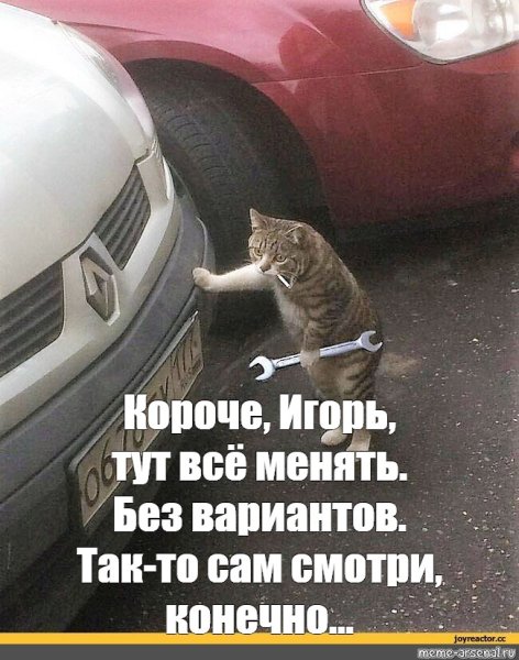 Кот ремонтирует авто