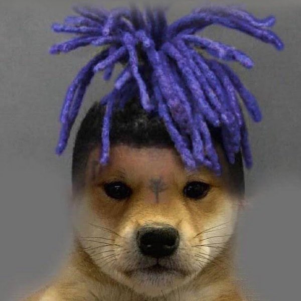 Шапка 'собака'