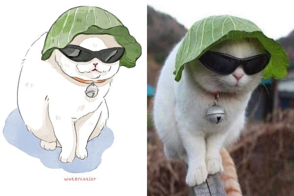 Кот в очках