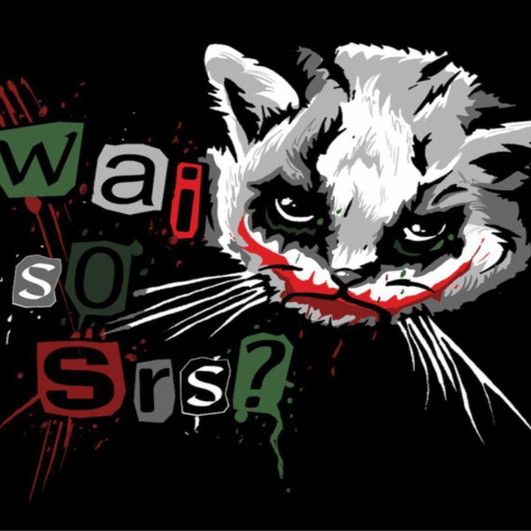 Кот Джокер Мем