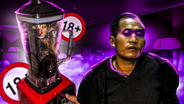 Кот в блендере оригинал