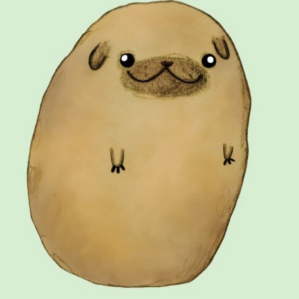 Мопс картошка