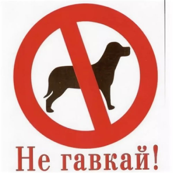 Не гавкай собака
