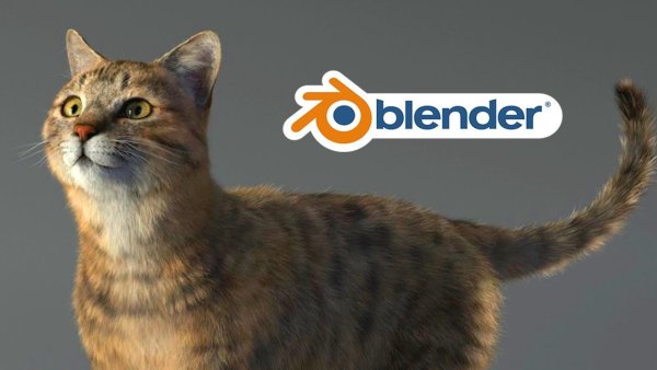 Blender 3d кот