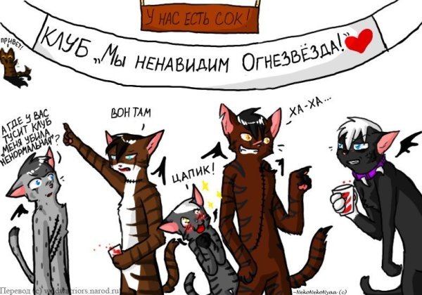 Коты Воители мемы приколы