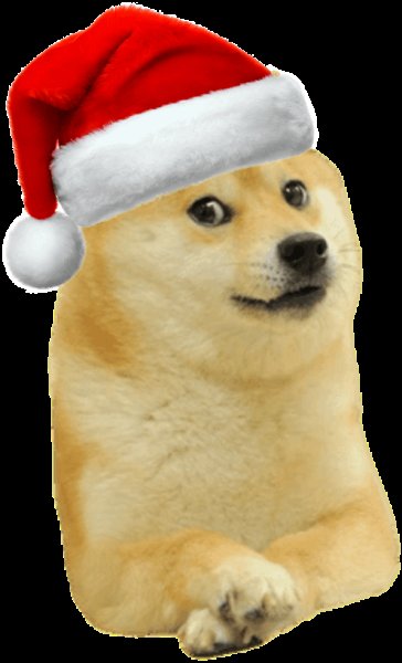 Doge с новогодней шапкой