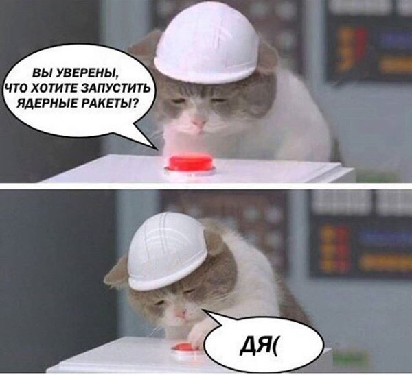 Кот в белой каске